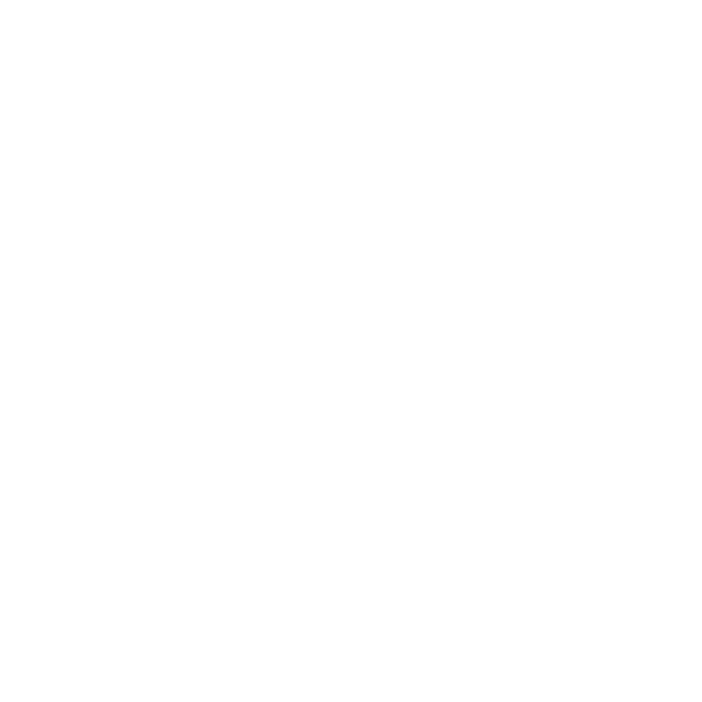 Z.ai